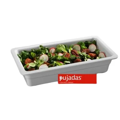 Гастроемкость Pujadas P22.008 GN 1/3-65 (белая)