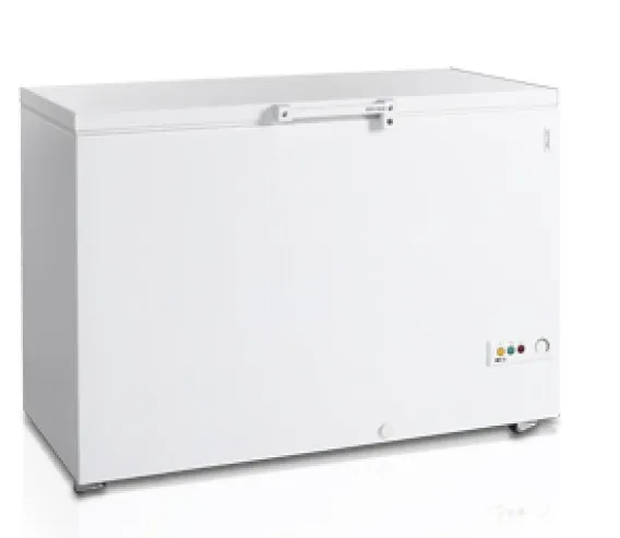 Ларь морозильный Tefcold FR405 SL