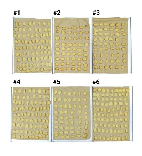 Пароконвектомат Distform MyChef Bakershop 6 (600*400)