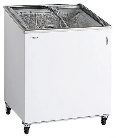 Ларь морозильный Tefcold IC200SCEB