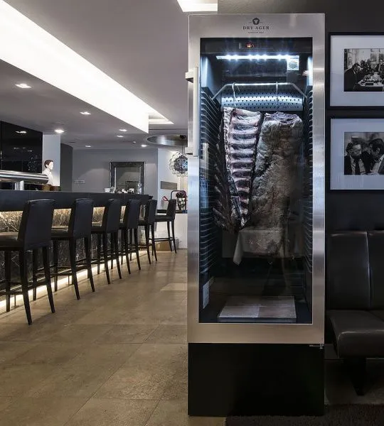 Шкаф для вызревания мяса DRY AGER DX 1001