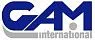 GAM (Италия)