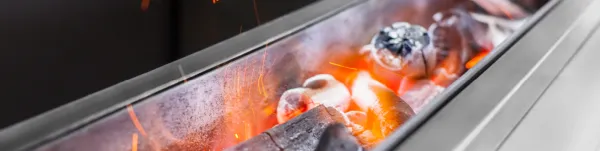 Гриль Робата JOSPER RGJ-50