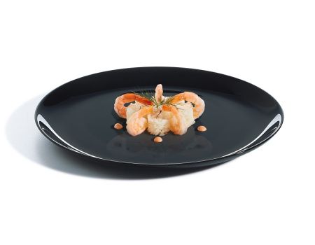Тарелка Arcoroc Evolutions Black P1129 d250мм