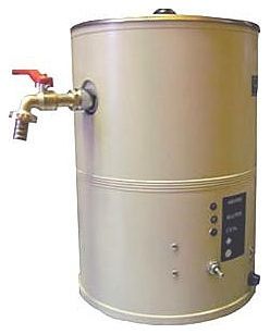 Кипятильник Дебис КНЭ-25-01 (нерж)