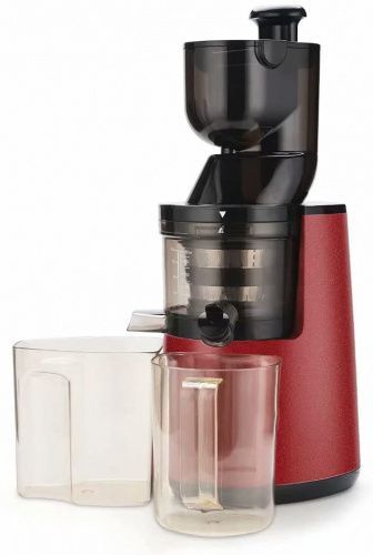 Соковыжималка шнековая Roal ALW-J16