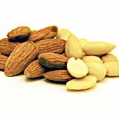 img_hallde-ctguide_almond-170x170.jpg