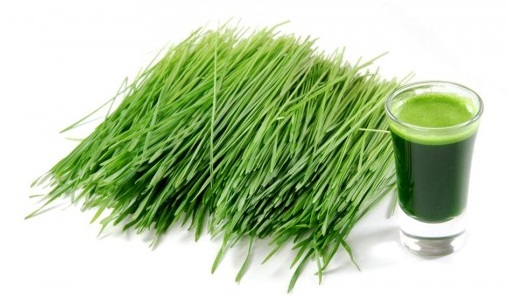 vitgrass-860x320.jpg