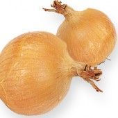 img_hallde-ctguide_onion-170x170.jpg