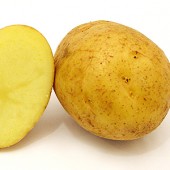 img_hallde-ctguide_potato-170x170.jpg
