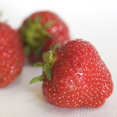 Strawberry-170x170.jpg