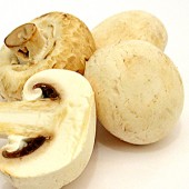 img_hallde-ctguide_mushroom-170x170.jpg