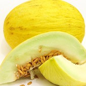 img_hallde-ctguide_melon-170x170.jpg