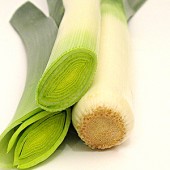 img_hallde-ctguide_leek-170x170.jpg