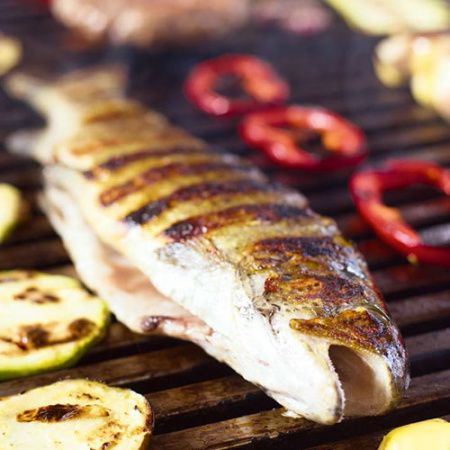 Гриль EcoGrill 6C 800