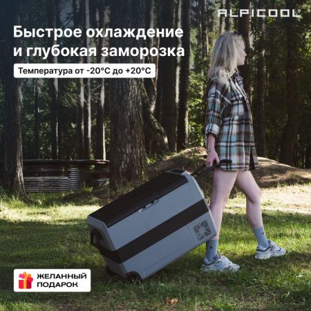 Холодильник автомобильный Alpicool ET50 (12/24)