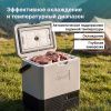 Холодильник автомобильный Alpicool P15 (12/24)