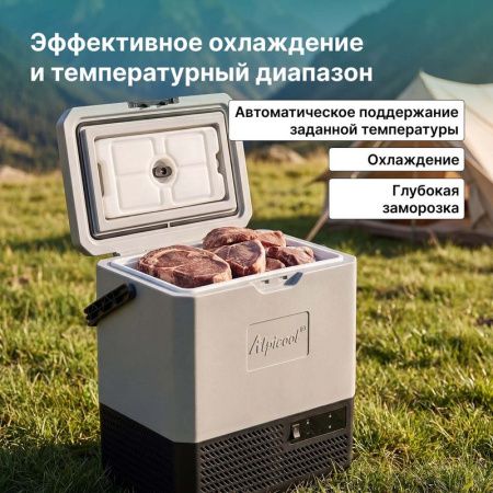 Холодильник автомобильный Alpicool P15 (12/24)