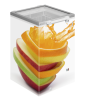 Ларь морозильный Tefcold ST160
