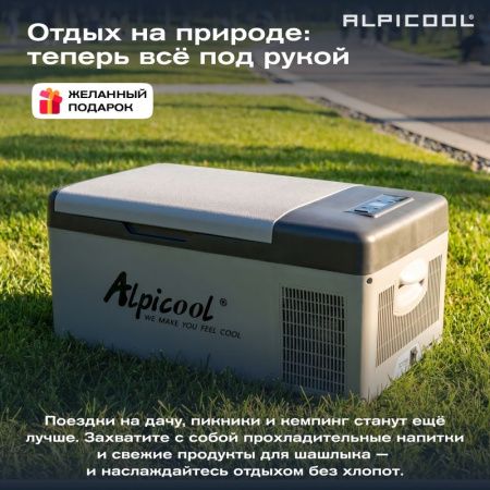 Холодильник автомобильный Alpicool C15 (12/24)