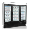 Шкаф морозильный Tefcold NF7500G