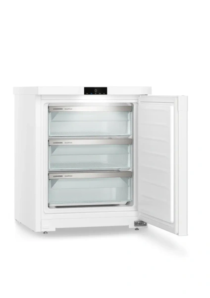 Шкаф морозильный Liebherr FE 1003