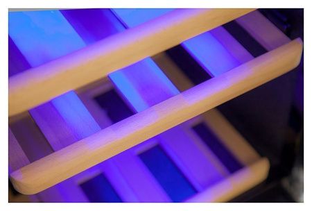 Шкаф винный Cold Vine C24-KSF2