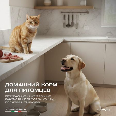 Дегидратор Meyvel MDH5-1P Black