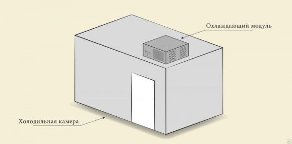 Моноблок DRY AGER DX 5000 для камер сухого вызревания