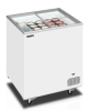Ларь морозильный Tefcold IC201SC