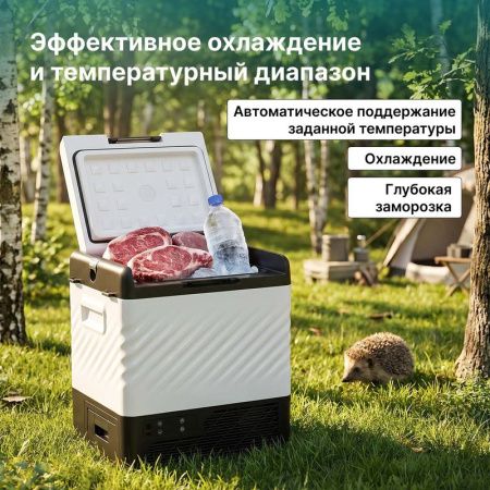 Холодильник автомобильный Alpicool P22 (12/24)