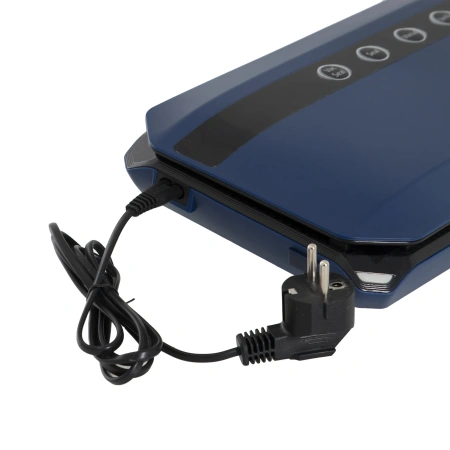 Вакуумный упаковщик Foodatlas HZ-320A