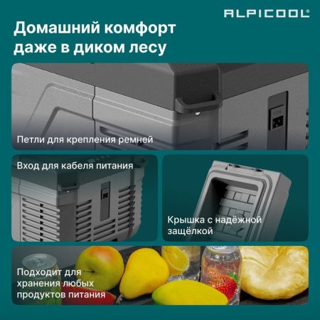 Холодильник автомобильный Alpicool NL12 (12/24)