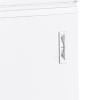 Ларь морозильный Tefcold CF700 SL