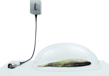 Рыбочистка KT KT-S