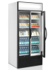 Шкаф холодильный Tefcold FSC891H