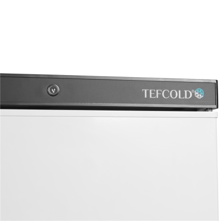 Шкаф морозильный Tefcold UF200V