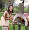 Печь для пиццы на дровах ALFA PIZZA 5 Minuti