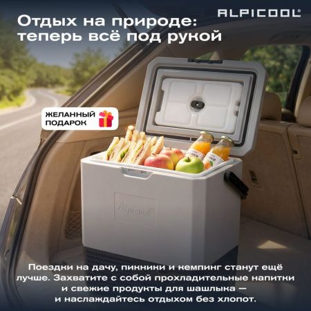 Холодильник автомобильный Alpicool P15 (12/24)