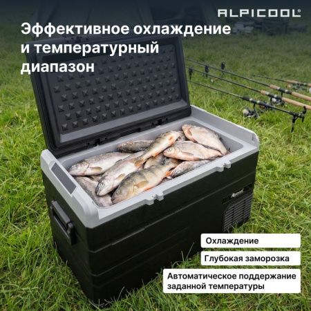 Холодильник автомобильный Alpicool TS120 (12/24)