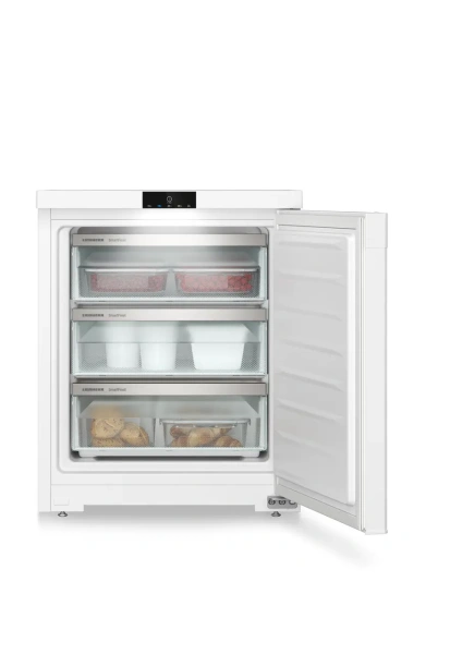 Шкаф морозильный Liebherr FE 1003