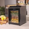 Дегидратор Meyvel MDH14-1P Black
