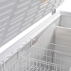 Ларь морозильный Tefcold CF700 SL