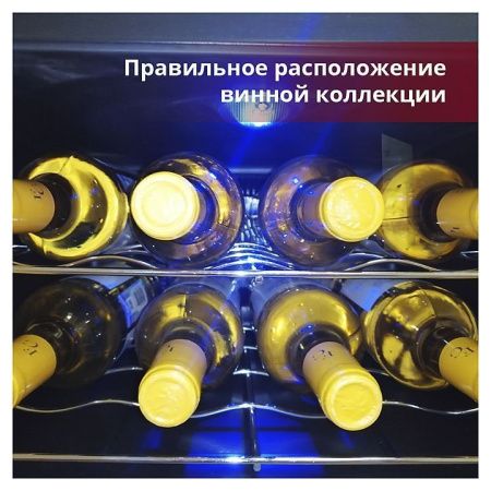 Шкаф винный Cold Vine C8-TBF1