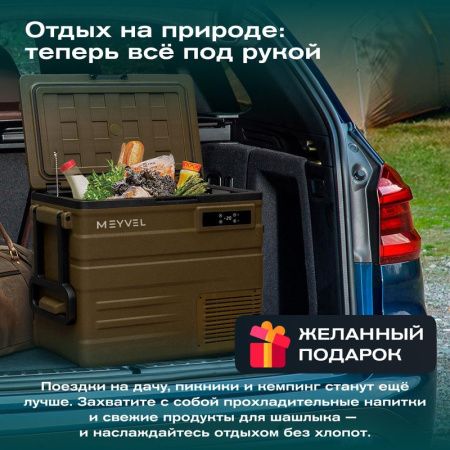 Холодильник автомобильный Alpicool U65 (12/24)