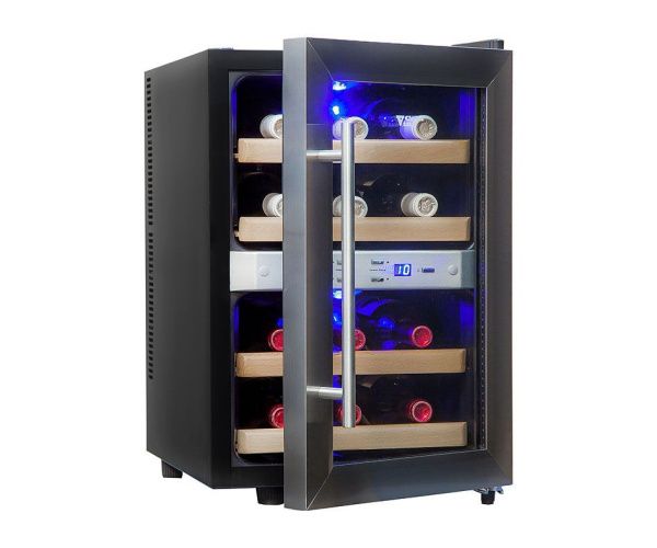 Шкаф винный Cold Vine C12-TSF2