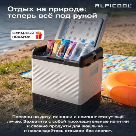 Холодильник автомобильный Alpicool P22 (12/24)
