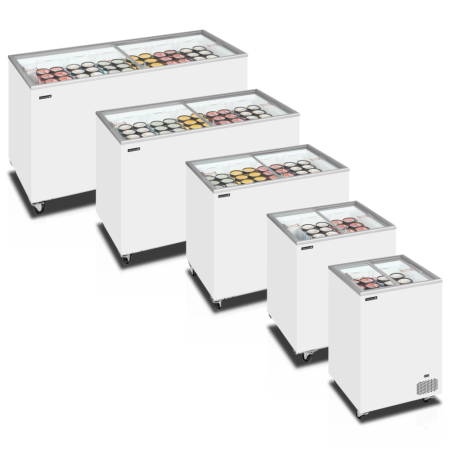 Ларь морозильный Tefcold IC201SC