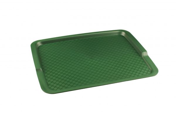Поднос Restola 425х320 зеленый (422108009)